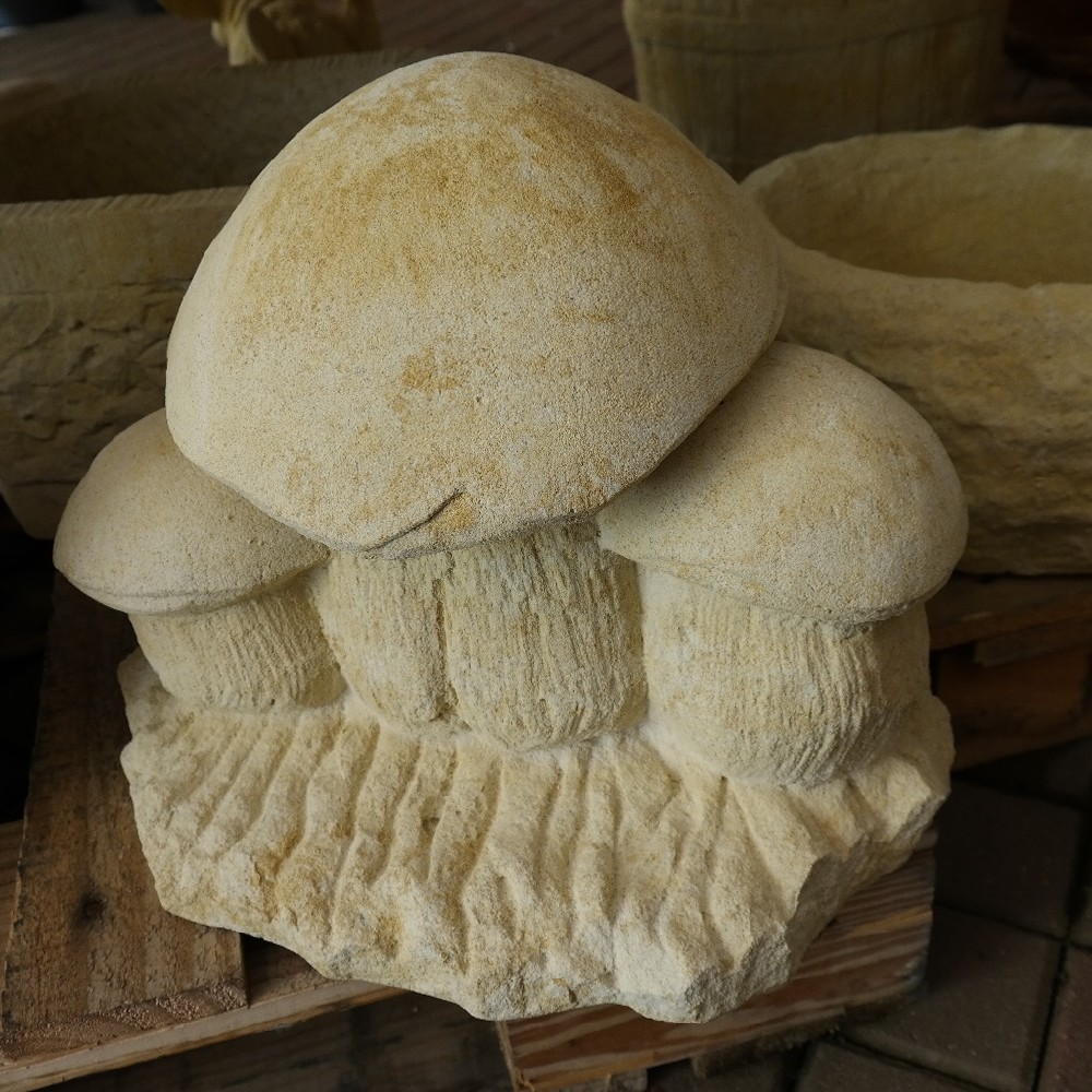 pískovec houby