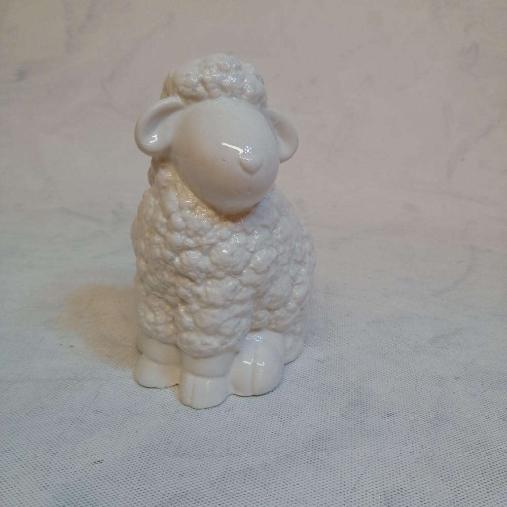 ovce porcelánová