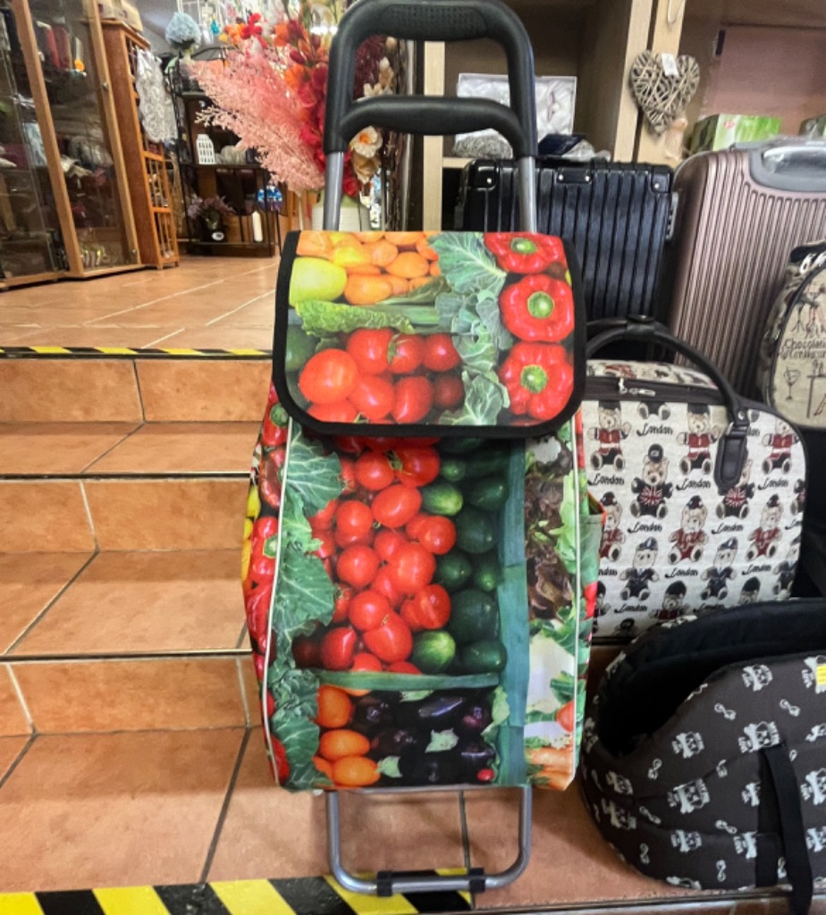 cestovní taška na kolečkách se sedátkem