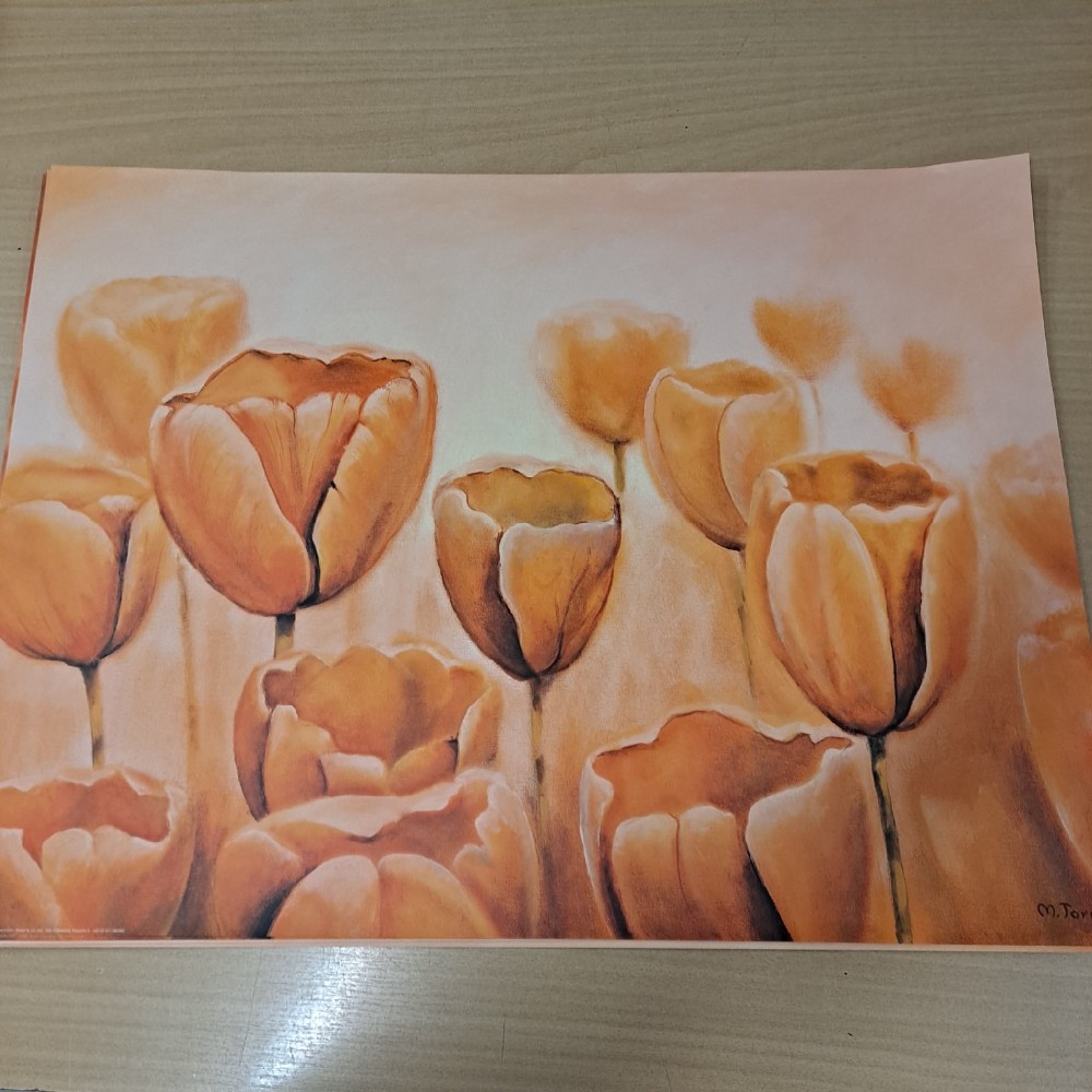 obraz tulipánů 80x60cm