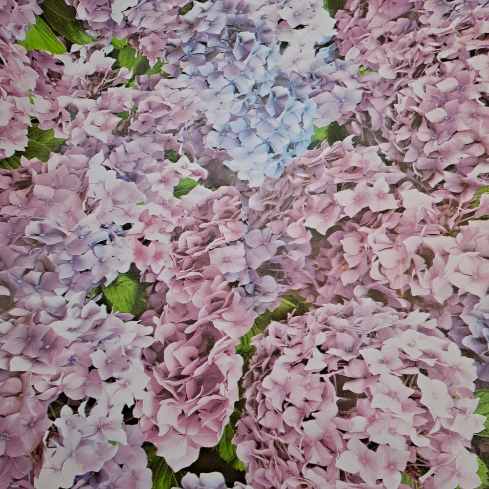 ubrus PVC růžové fialové květy š.140