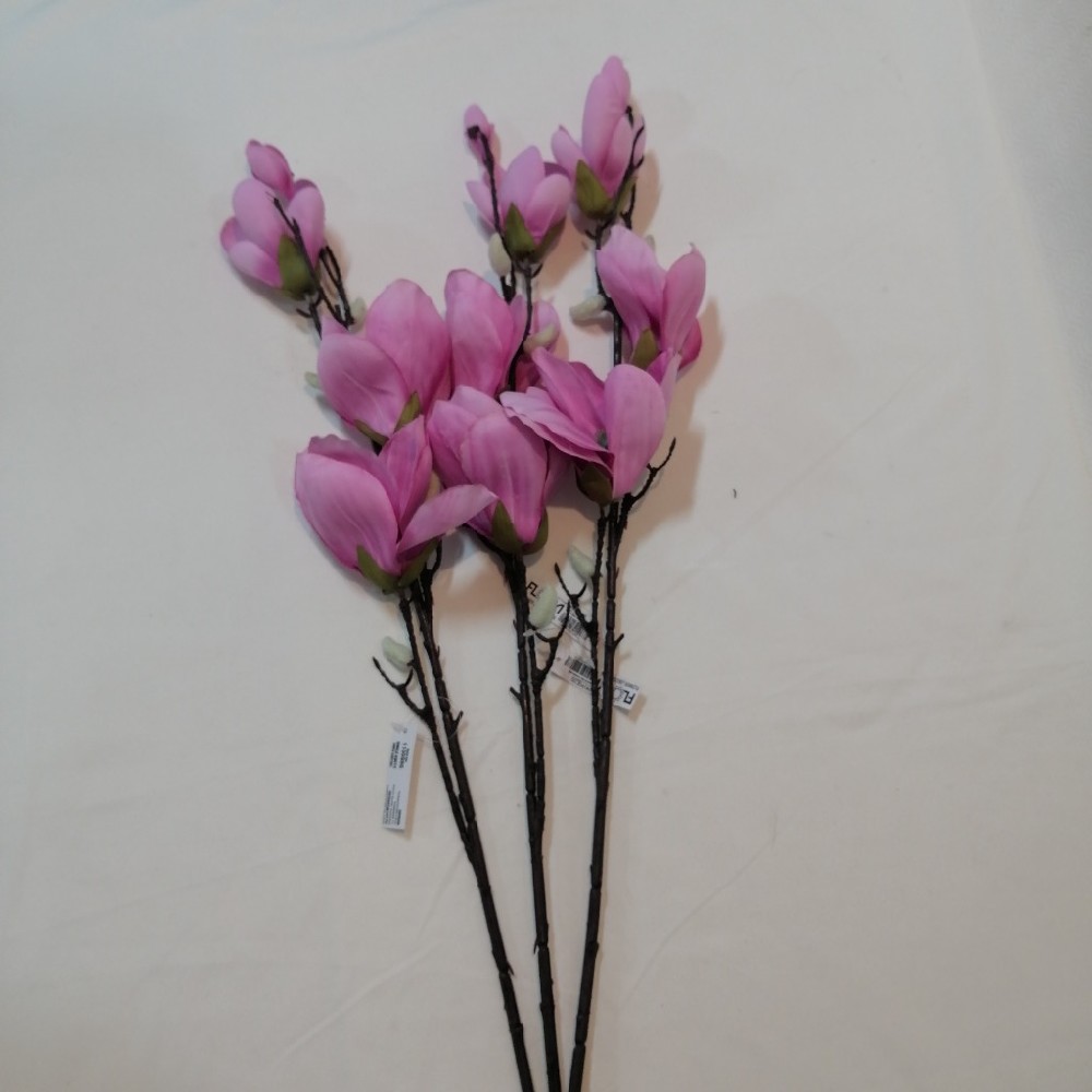 magnolie, tm. růžová, 80 cm