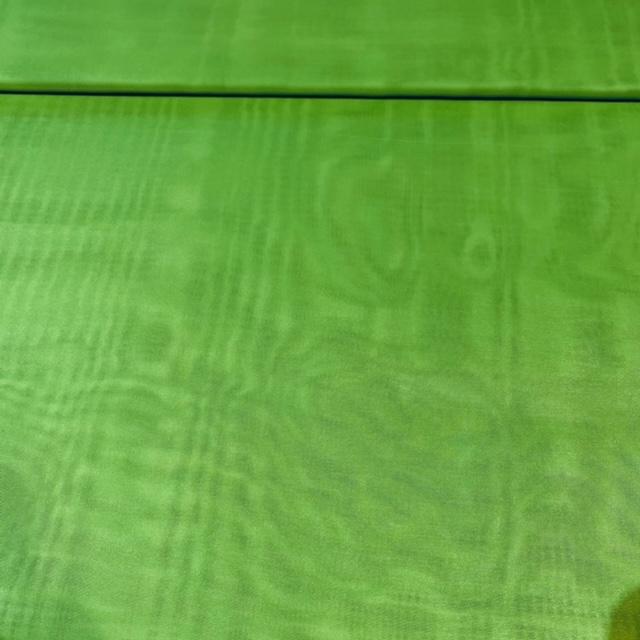 záclona voál zelený š.150