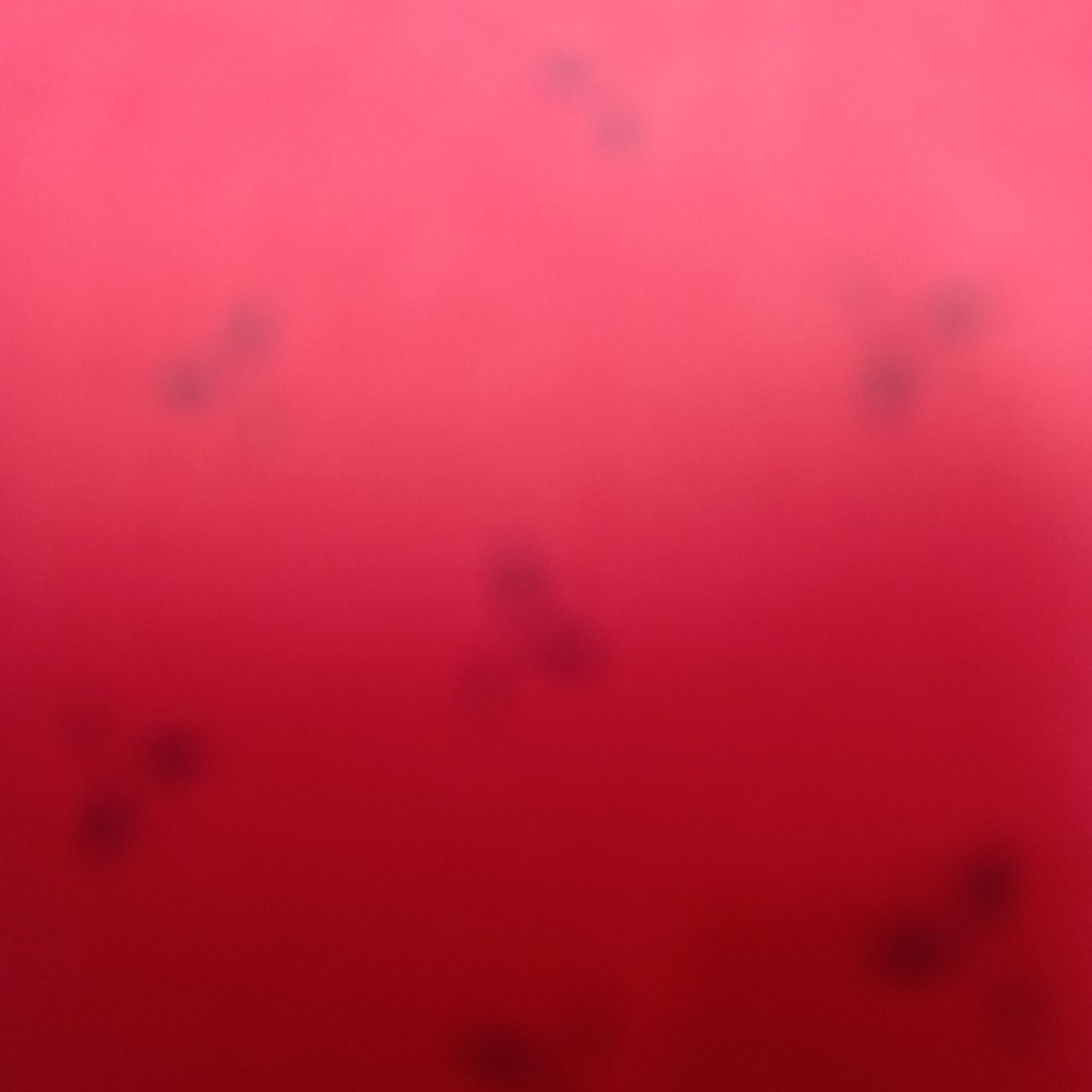 bavlna malé čern.kytičky na  červeném podkladě 150 cm