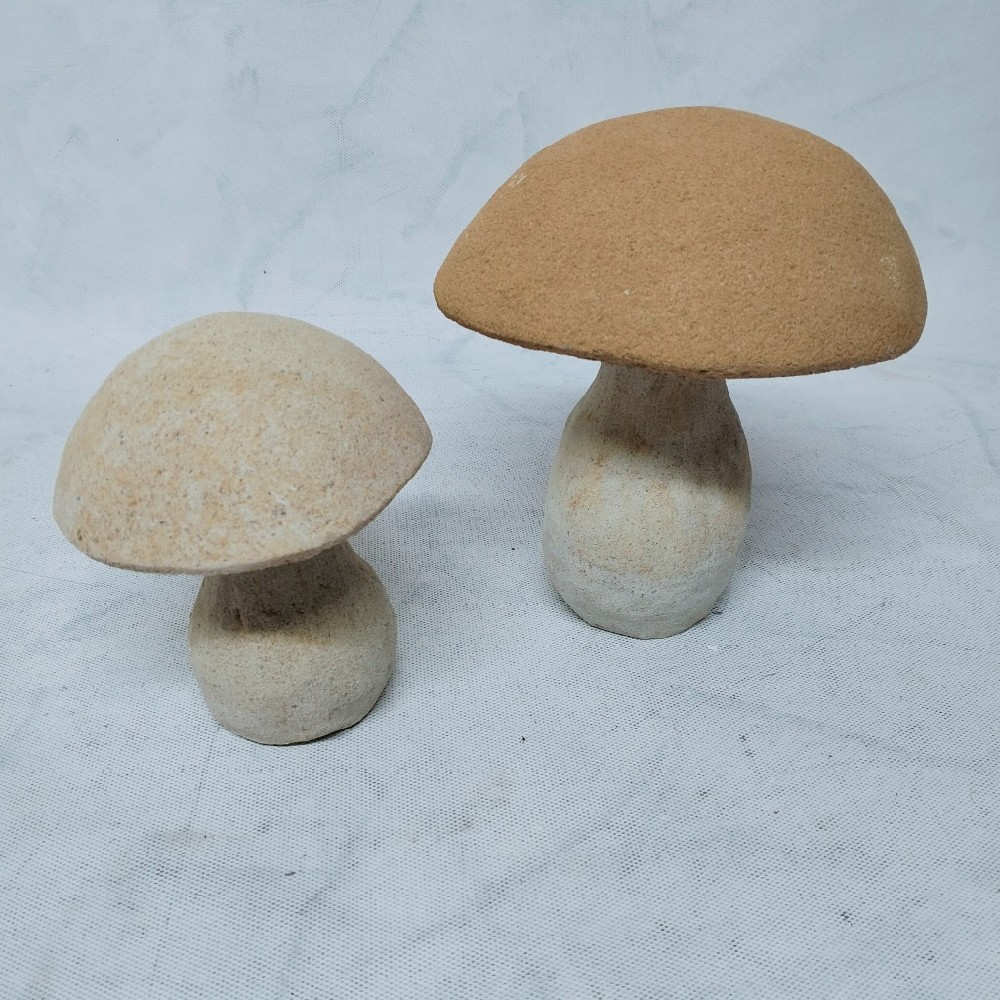 pískovec houba malá 1,5kg