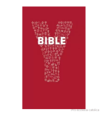 Youcat Bible