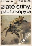 Zlaté stíny, pádící kopyta / George B. Schaller, 1980