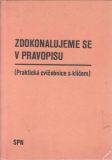 Zdokonalujeme se v pravopisu, praktická cvičebnice s klíčem / Jiřina Chudková